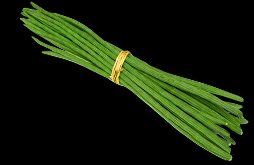 Organic Drum Stick, for Agriculture Use, Color : Green