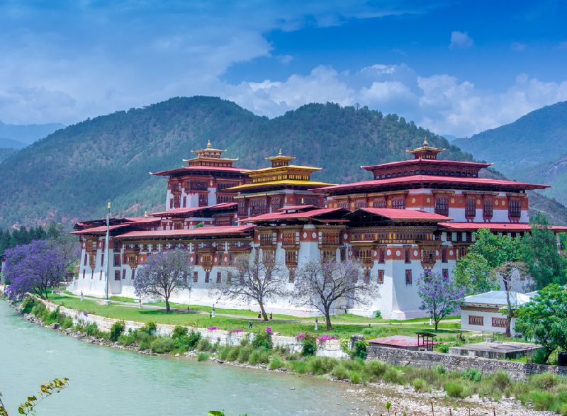 Punakha Dzong Tour Package