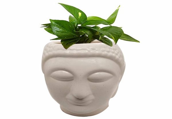 Polished Ceramic Buddha Planter, Pattern : Plain