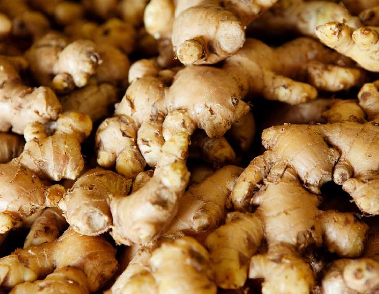 Organic Fresh Ginger, for Cooking, Cosmetic Products, Packaging Size : 20kg, 50kg