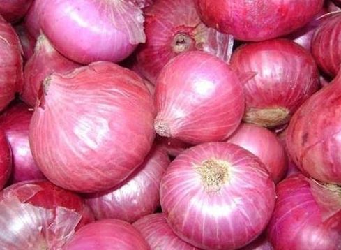 Fresh Pink Onion, Packaging Size : 25kg