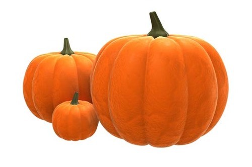 Organic Fresh Pumpkin, for Pesticide Free ( Raw Products), Packaging Size : 30-40kg