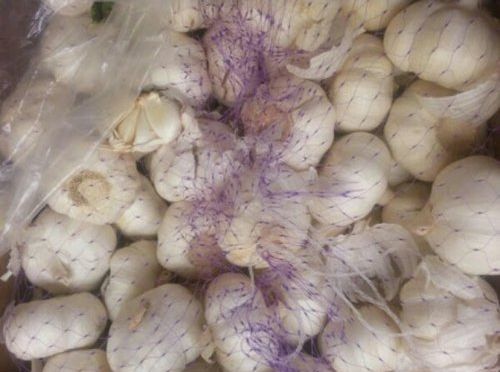 Organic 50mm Fresh Garlic, Packaging Type : Gunny Bags, Plastic Bags