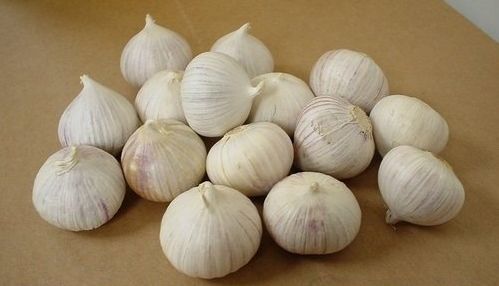 Single Clove Garlic, Color : White