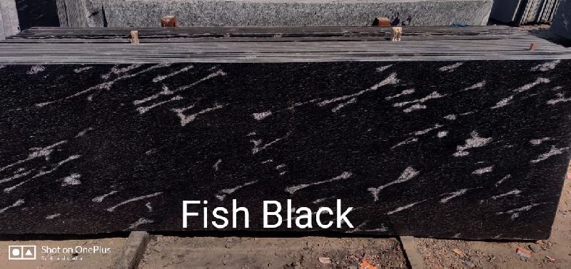 Fish Black