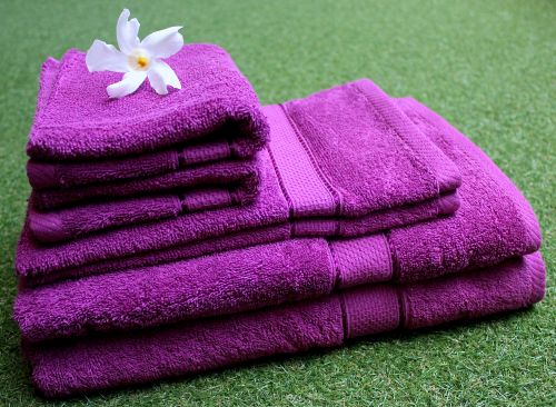 Pack of 6 Lavender Cotton Towels