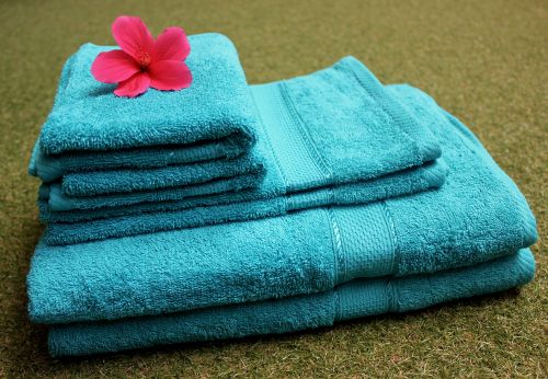Pack of 6 Teal Cotton Towels, Pattern : Solid