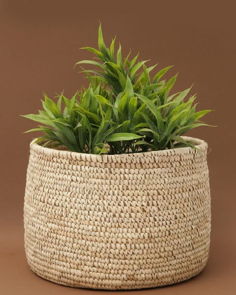 Sabai Grass Planter, Style : Antique at best price in Mayurbhanj Odisha  from GREEN CRAFT | ID:5532247