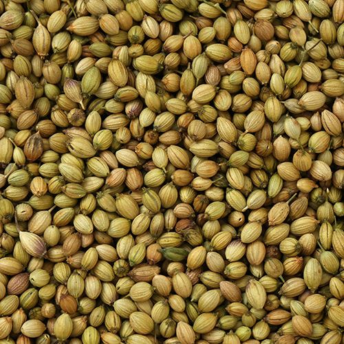 coriander seeds