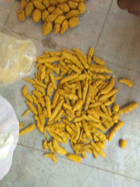 Organic turmeric finger