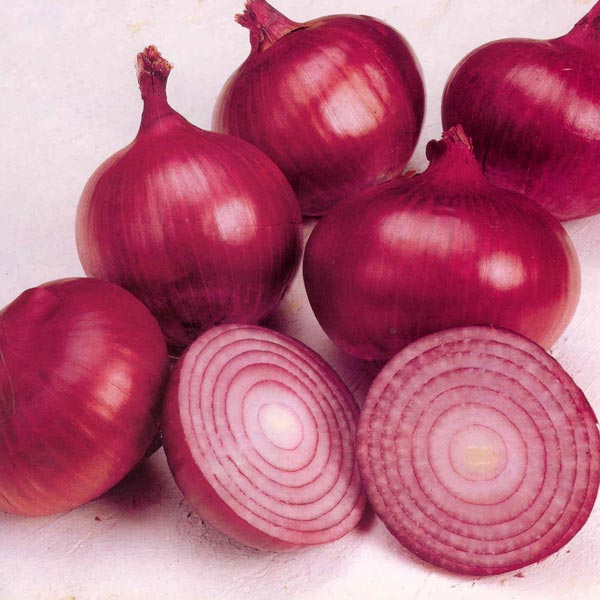 Fresh Red Onions , Fresh Red Onion in Mesh Bag.