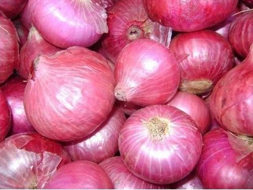 Fresh Pink Onion, Shelf Life : 15days