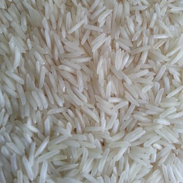 sugandha basmati rice