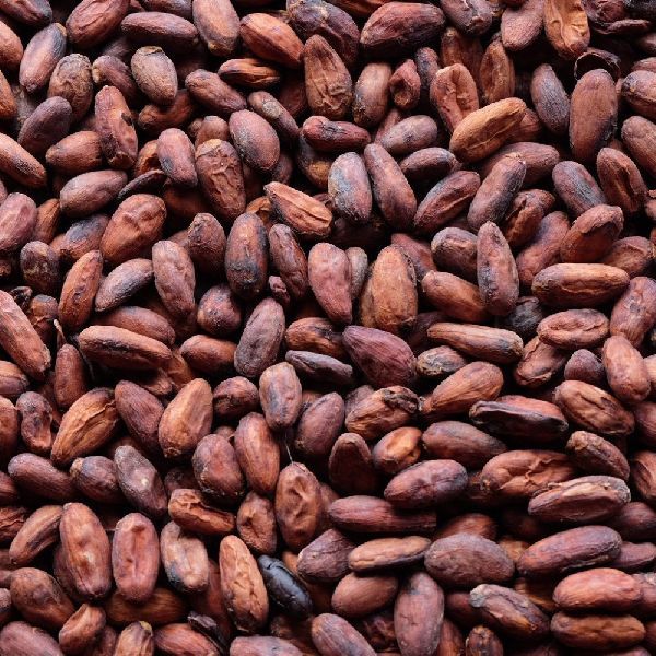 Cocoa beans for Bakery Products, Cosmetics, Packaging Type : Brown