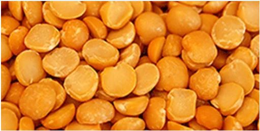 Yellow Split lentil