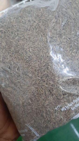 Cumin seeds, for Cooking, Packaging Size : 10kg, 25kg, 5kg