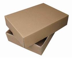 Fruit Packaging Corrugated Box