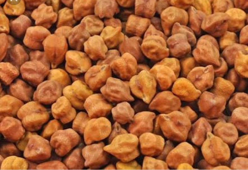 black-chickpeas-manufacturer-in-tonk-rajasthan-india-by-shri-agrasen