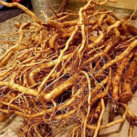 Ashwagandha Roots, for Herbal Products, Packaging Type : Gunny Bags, Jute Bag, Plastic Bag