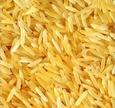 Natural Hard Organic 1509 Golden Sella Rice, Style : Dried