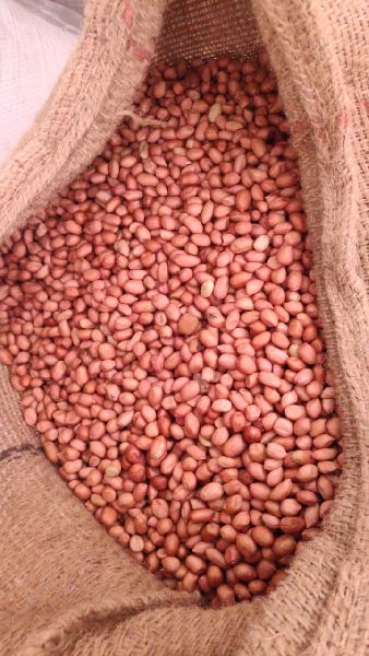 Natural Groundnut Seed, for Cooking, Food, Purity : 99.9%