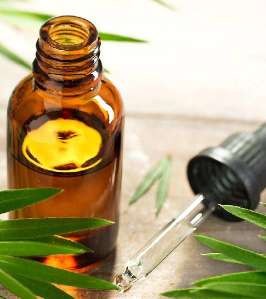 Tea Tree Oil, for Spa, Pharmaceuticals, Natural Perfumery, Medicine, Flavour, Cosmetics, Aromatherapy
