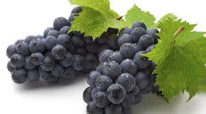 fresh black grapes