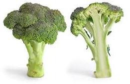 Fresh Broccoli