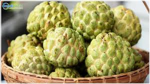 fresh custard apple