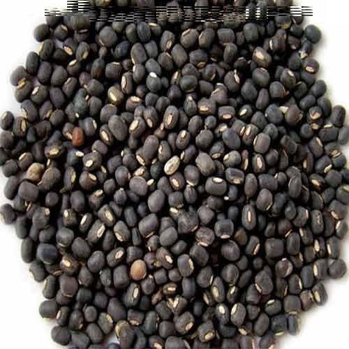 Natural Dried Black Gram, for Cooking, Feature : Healthy To Eat, Nutritious, Purity