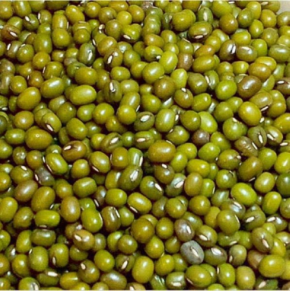 Indian Green Gram, for Cooking, Feature : Healthy To Eat, Highly Hygienic, Nutritious, Purity