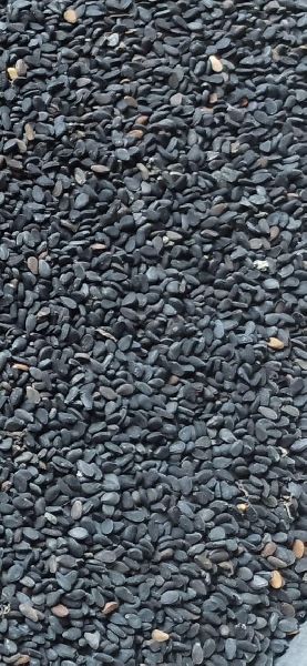 Natural Black Sesame seeds, for Making Oil, Packaging Type : Jut bag, Plastic Bag