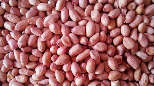 Raw Organic peanut kernels, Packaging Type : Jute Bag, Plastic Packet