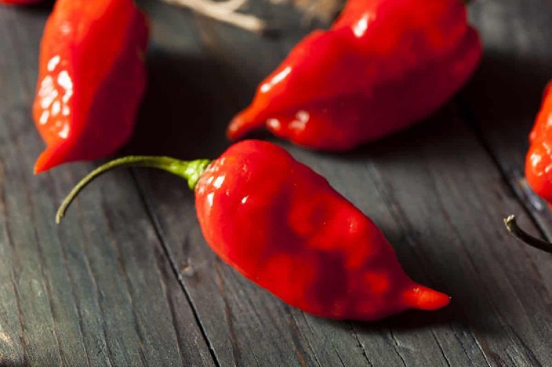 Ghost Red Chilli