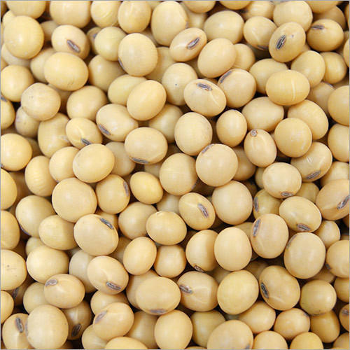 Organic soybean seeds, Feature : High Nutritional Value