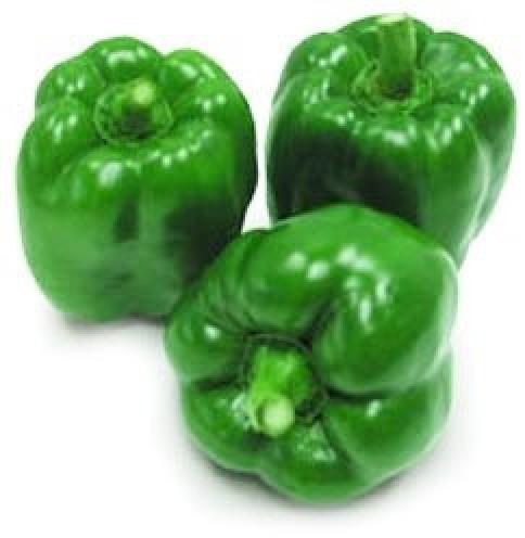 Oval Fresh Green Capsicum, for Cooking, Packaging Type : Plastic Bag