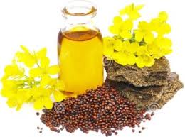 Organic Mustard Oil