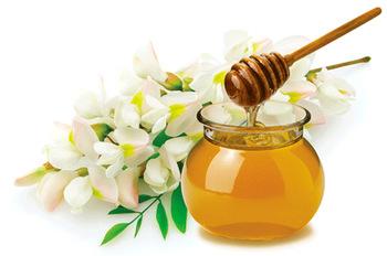 Acacia Honey, for Cosmetics, Foods, Medicines, Taste : Sweet