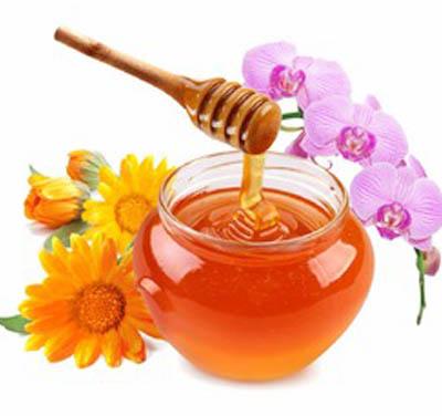 Multi Floral Honey, for Foods, Medicines, Form : Gel