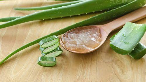 Natural Aloe Vera, for Juice, Skin Products, Form : Leaf, Liquid, Solid