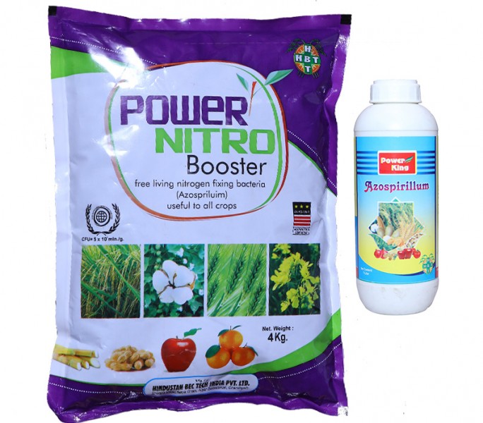 Azospirillum Bio Fertilizer