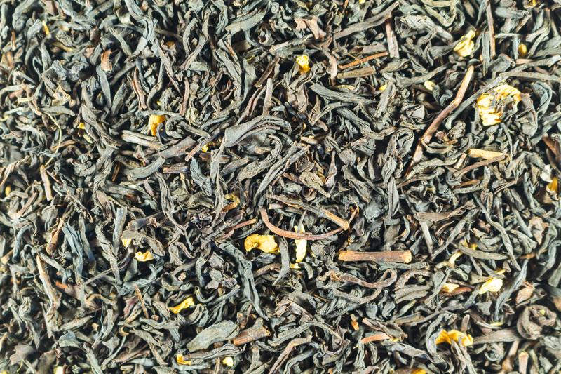 Nilgiri Tea leaf