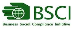 BSCI Audit in  Delhi .