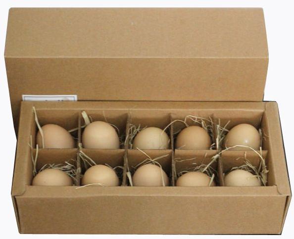 Plain Customized Egg Paper Box, Shape : Rectagular