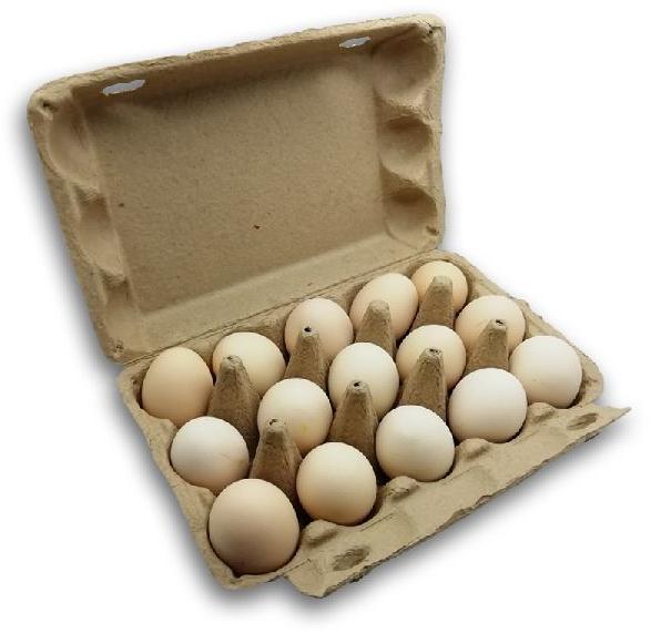 Plain Egg Packaging Paper Box, Shape : Rectagular