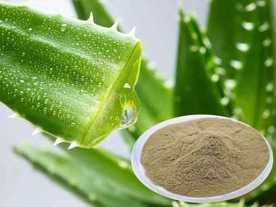 aloe vera powder aloe vera powder