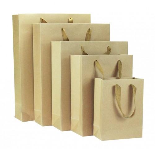 Plain Eco Friendly Paper Bag, Size : Multisize
