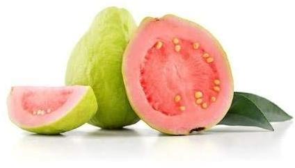 Organic taiwan pink guava, Shelf Life : 10 YEARS