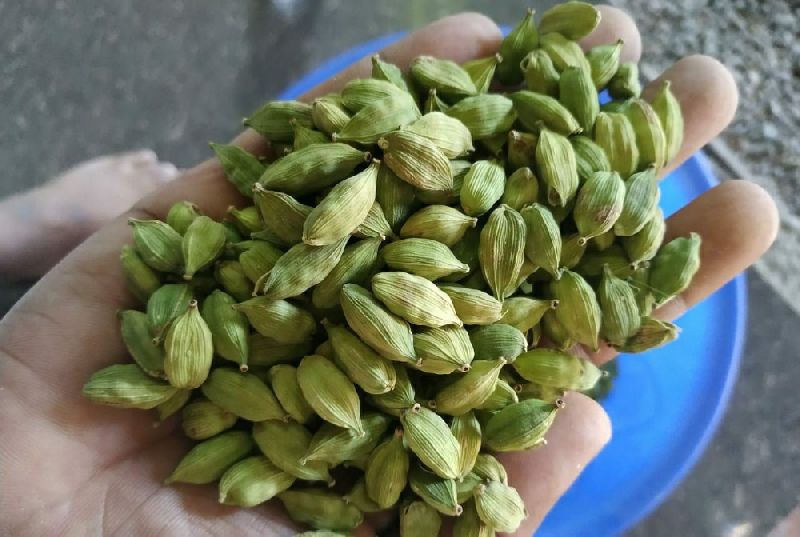 Green Cardamom