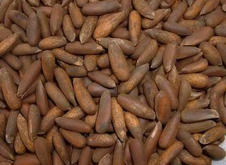 Pine Nuts, for Snacks, Packaging Size : 10kg, 1kg, 5kg